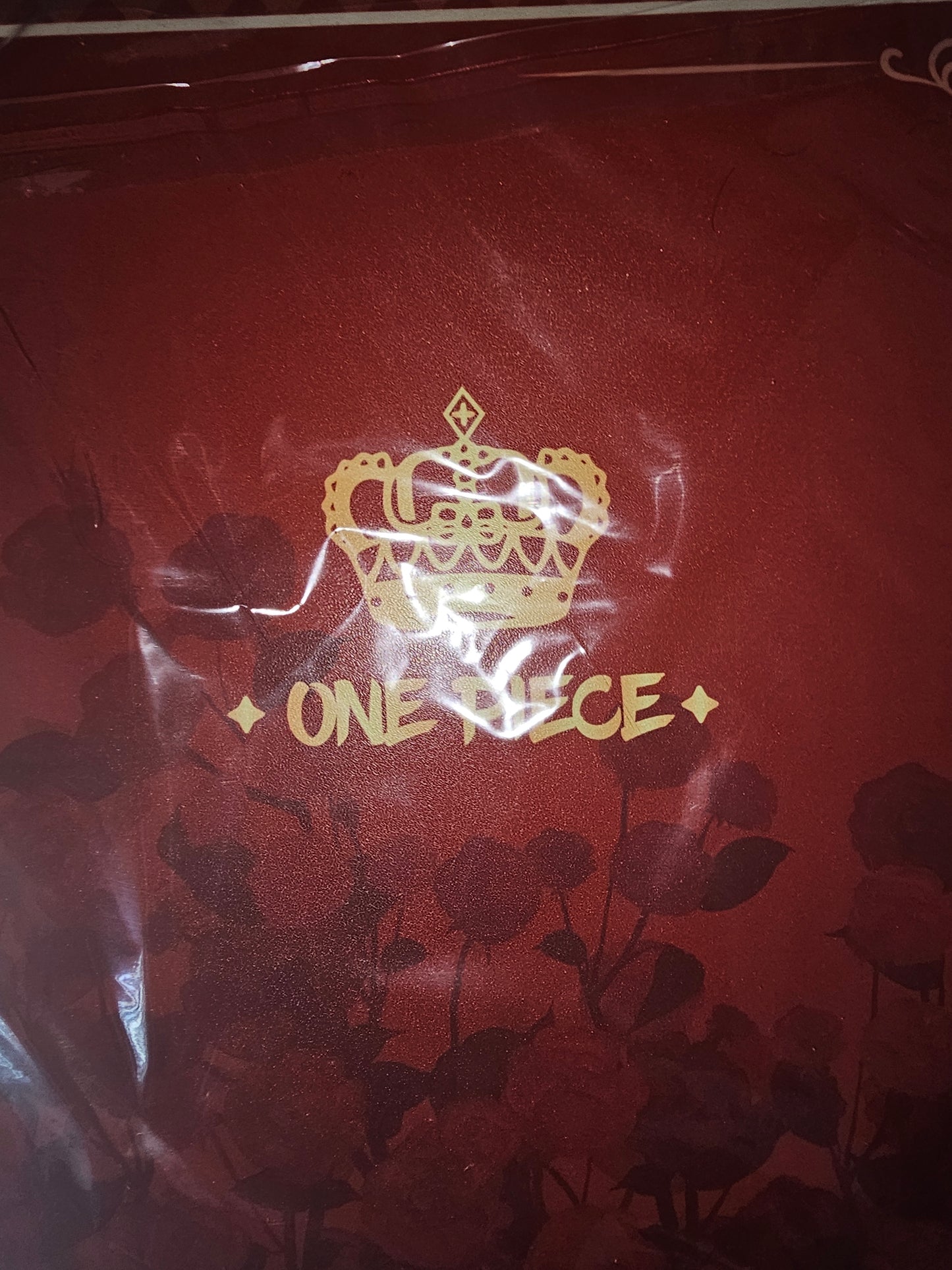 One Piece Binder With Sleeves and Zipper