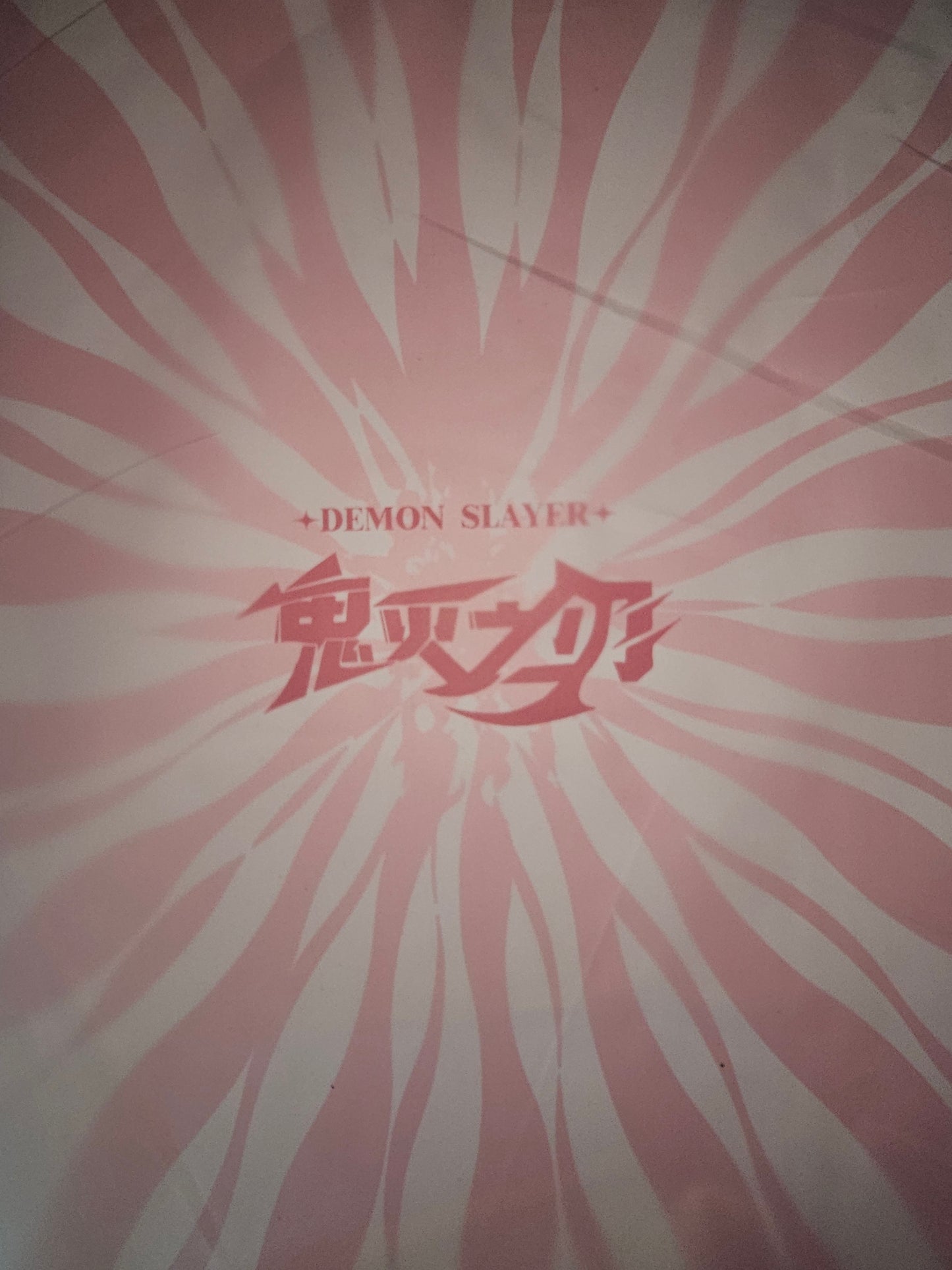 Demon Slayer Binder With Sleeves and Zipper