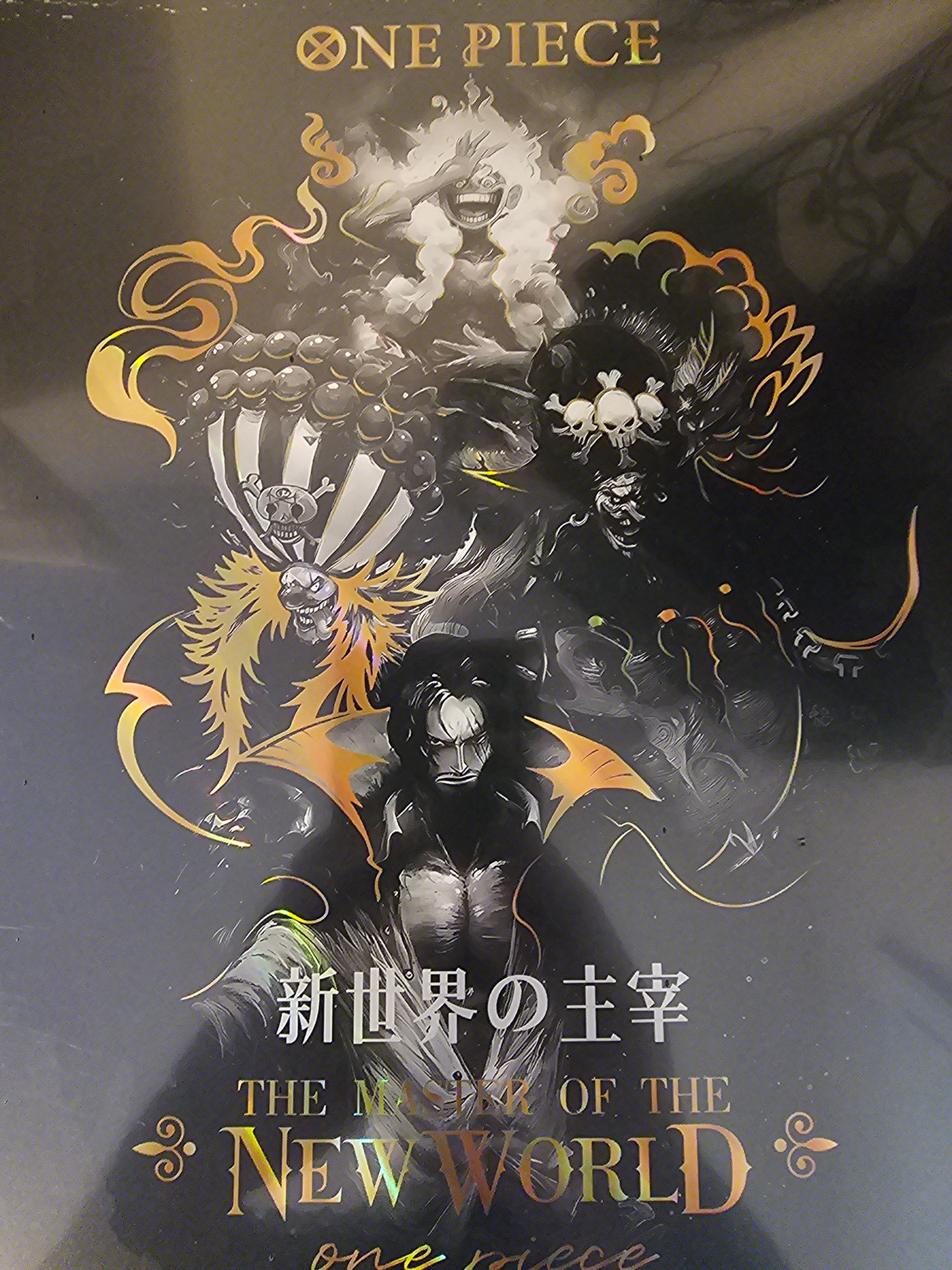 One Piece Treasure Binder