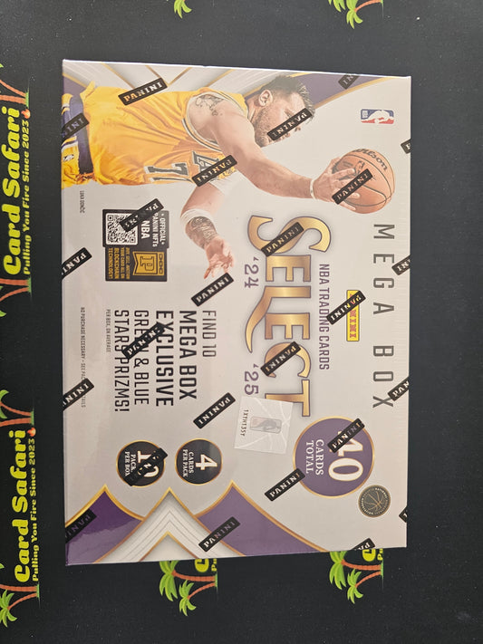 Panini NBA Select 24-25 Box Basketball