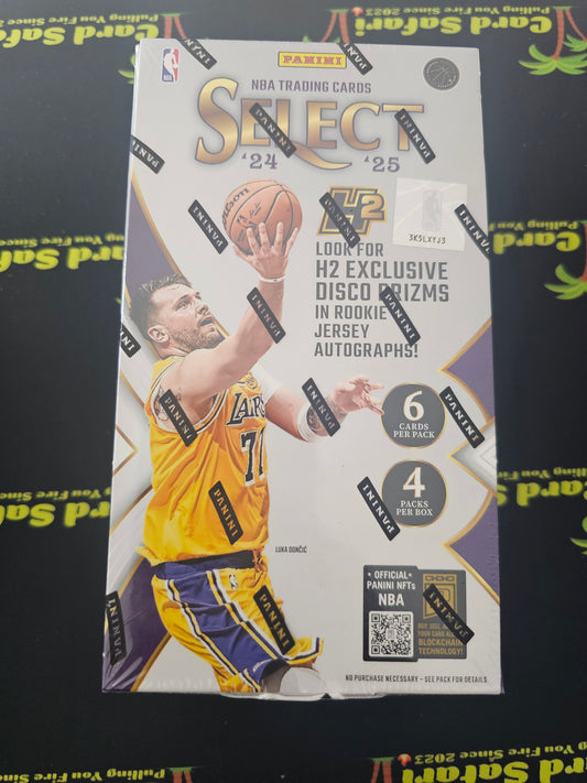 Panini Select H2 Basketball